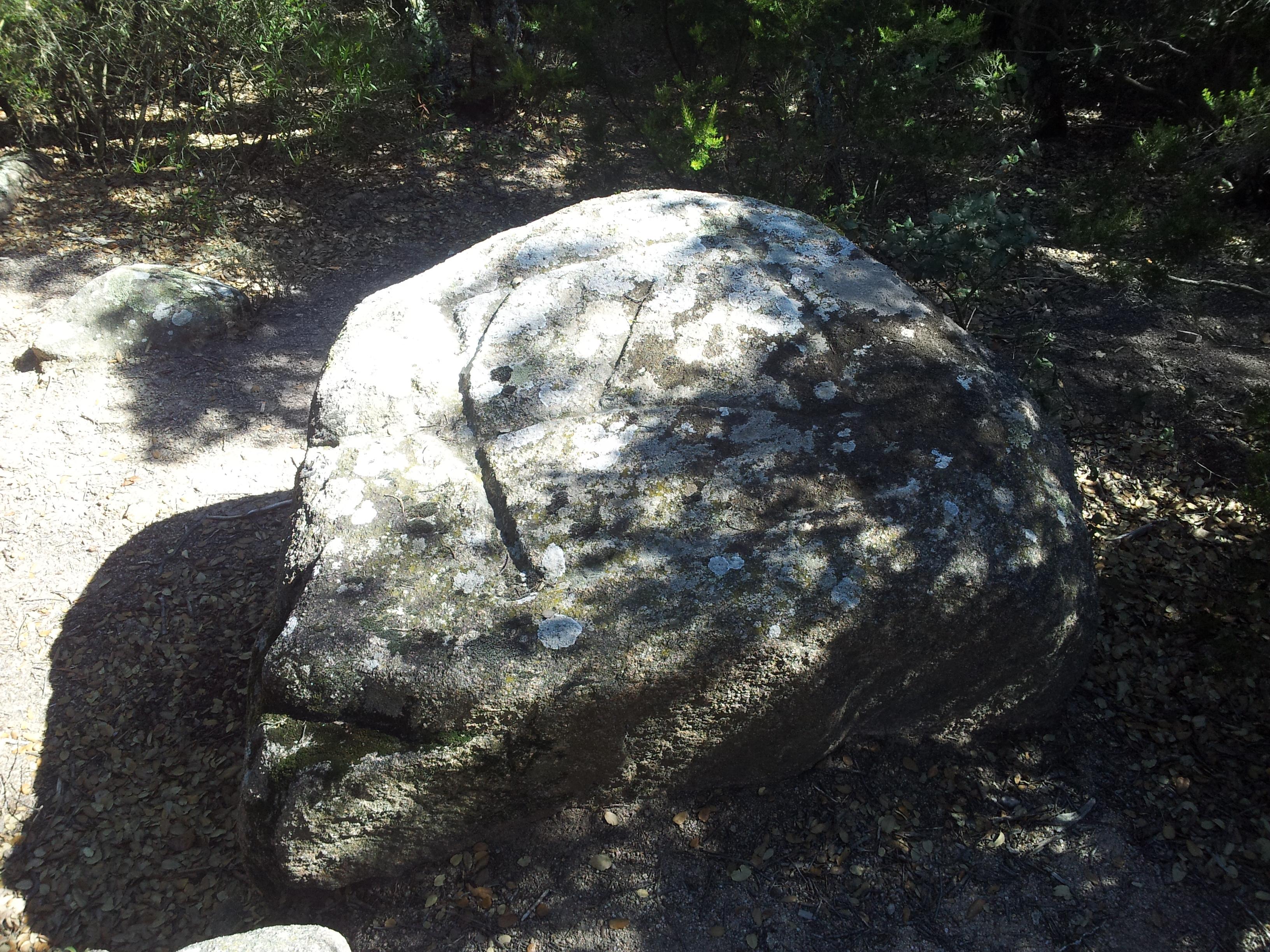 Pedra dels Sacrificis de Can Cabanyes
