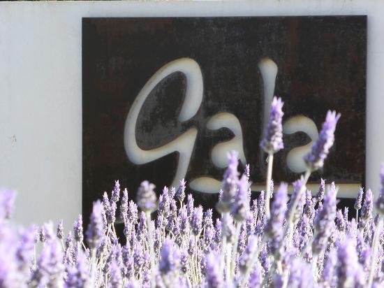 Restaurant Gala by Ulises Ballesta