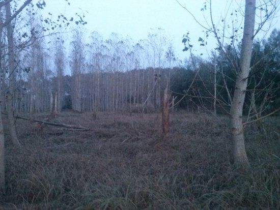 Lago de Sils-Ribera de Santa Coloma
