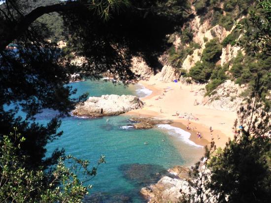 Platja de Santa Cristina